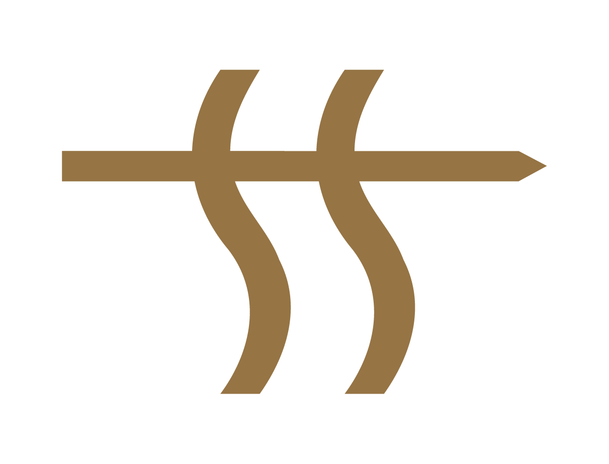Trailspur logo